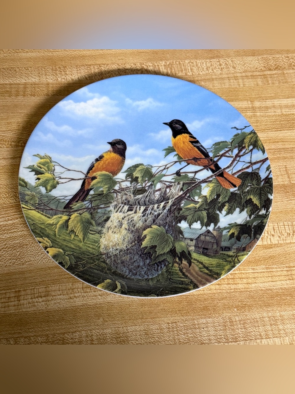 Vintage‎ 1991 "Baltimore Orioles in Summer" Decorative Bird Plate Knowles